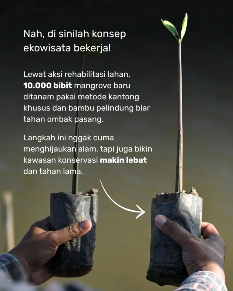 Instagram post from simpulindonesia. This post is in position 3.