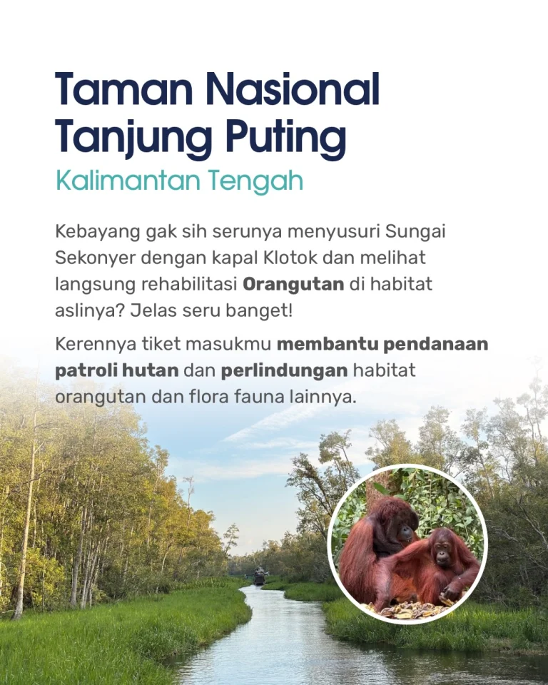 Instagram post from simpulindonesia. This post is in position 1.